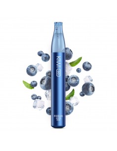 BLUEBERRY ICE - POD USA E...